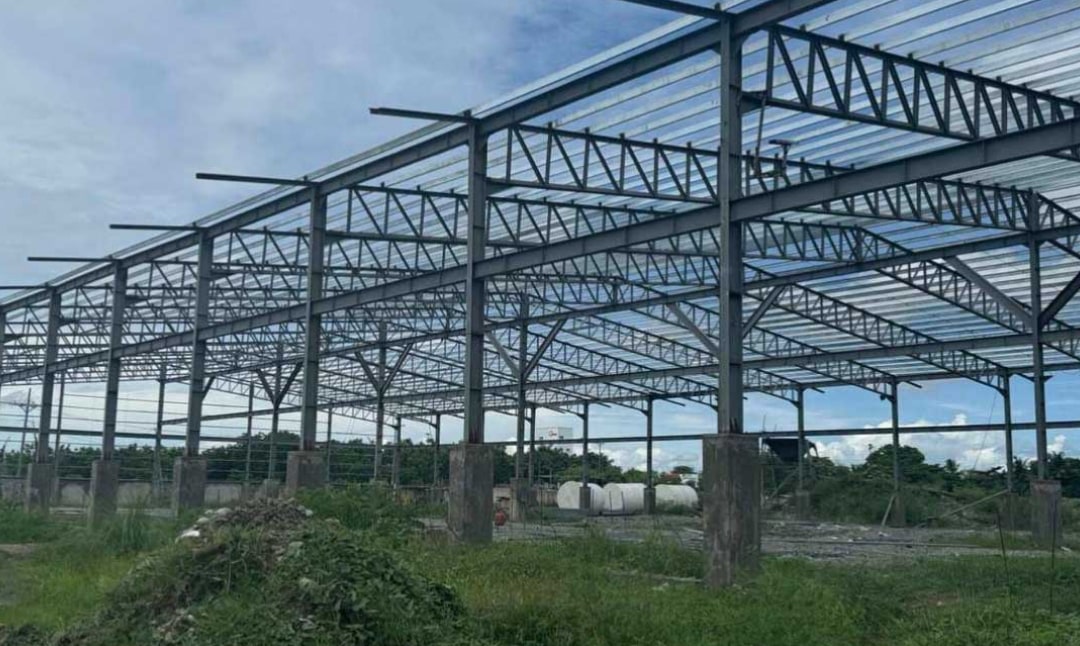 Isabela Alicia Warehouse