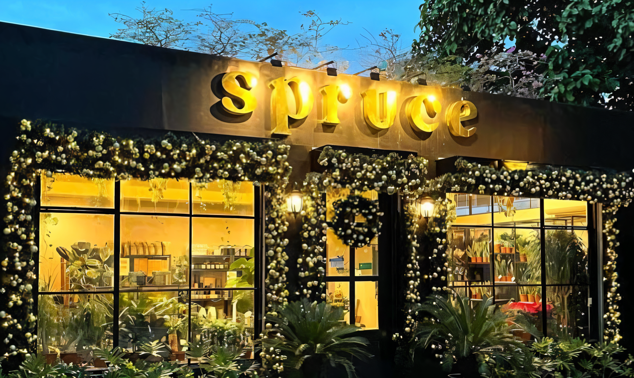 Spruce Planthill Side Garden Shop San Juan